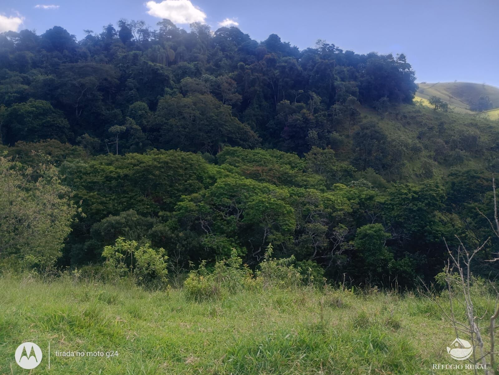 Chácara, 46 hectares - Foto 15
