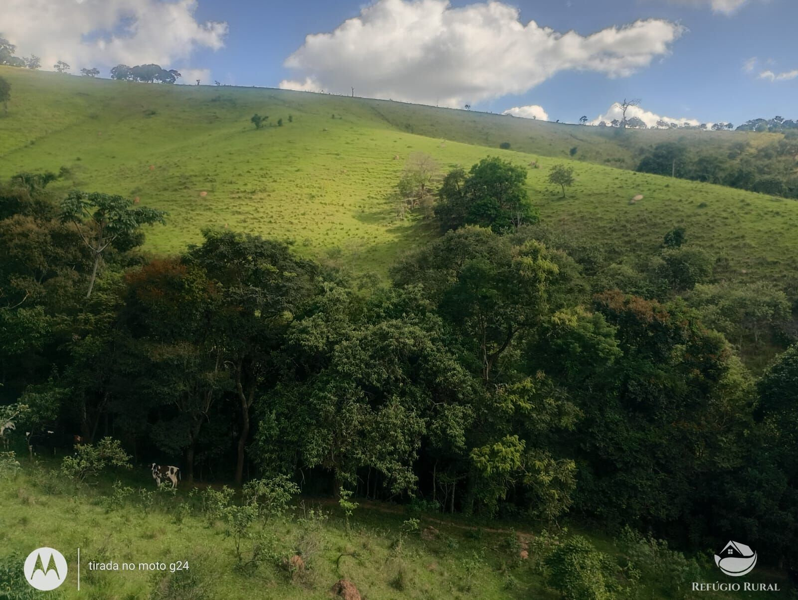Chácara, 46 hectares - Foto 19