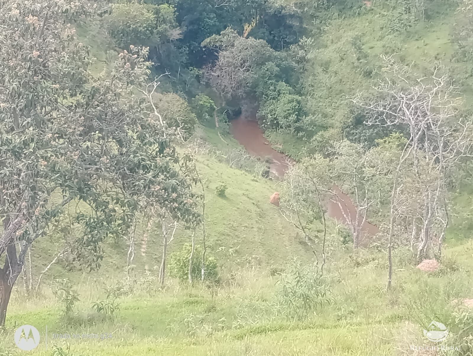 Chácara, 46 hectares - Foto 6