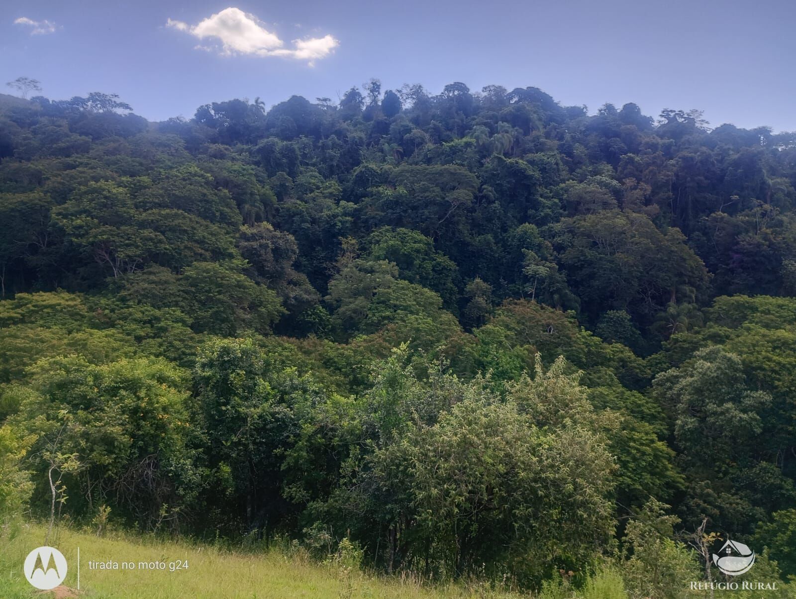 Chácara, 46 hectares - Foto 14