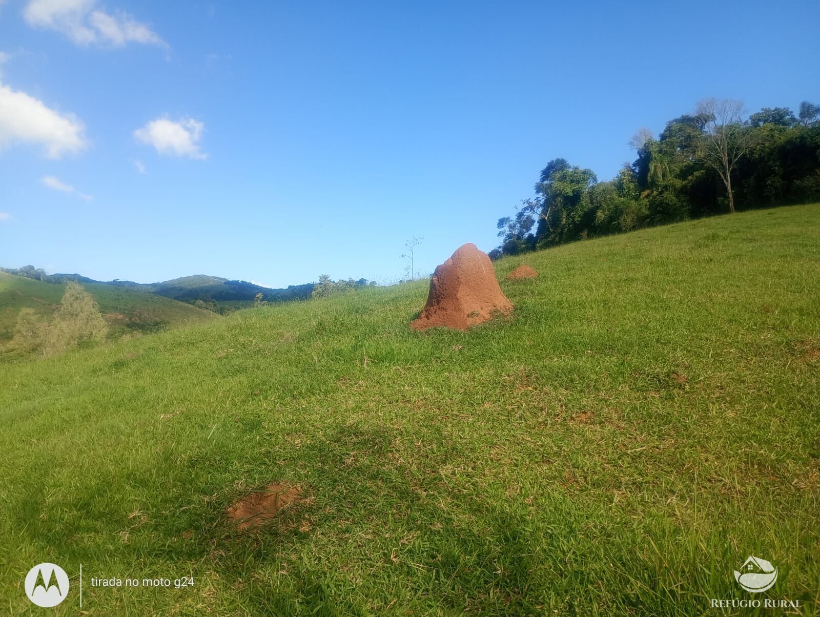 Chácara, 46 hectares - Foto 10
