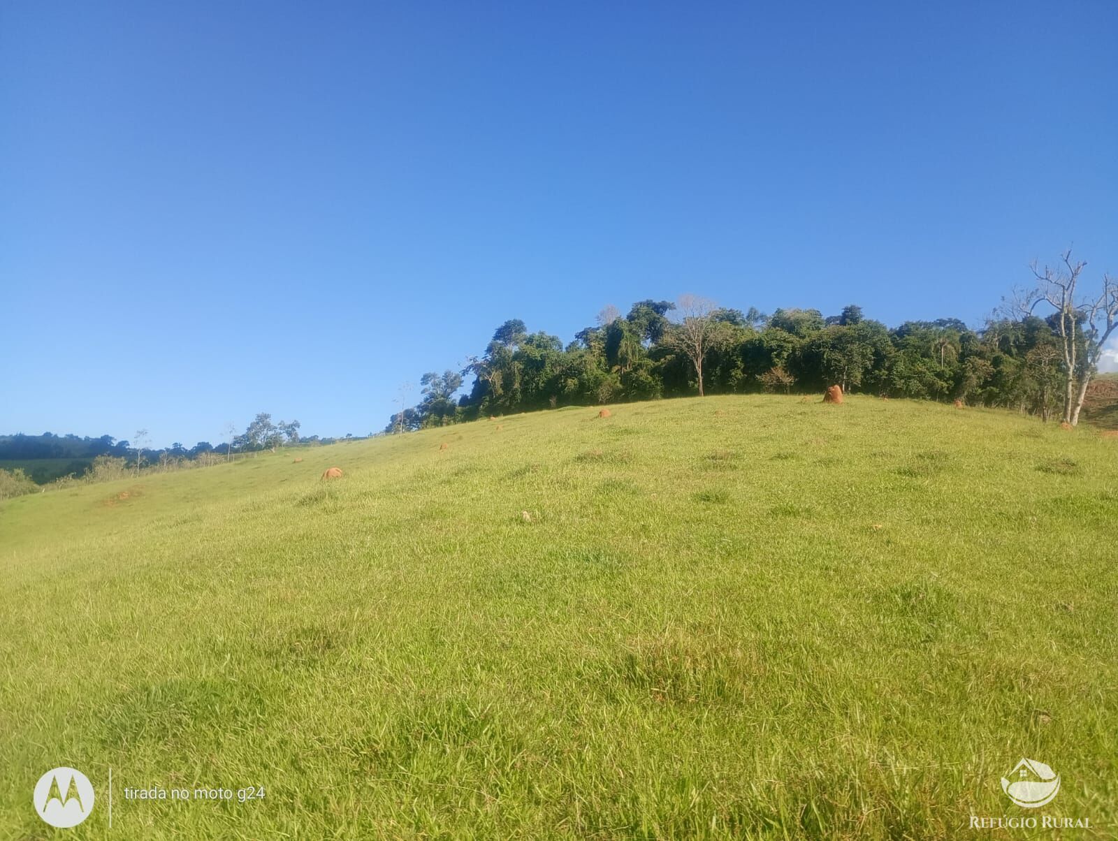 Chácara, 46 hectares - Foto 17