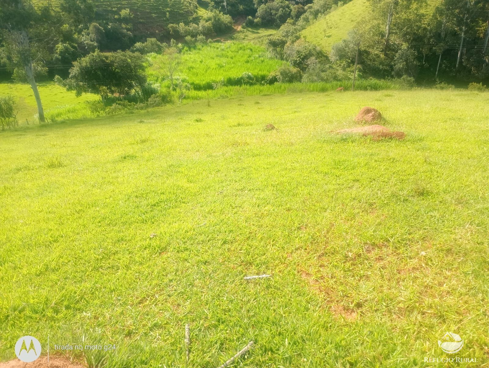 Chácara, 46 hectares - Foto 12