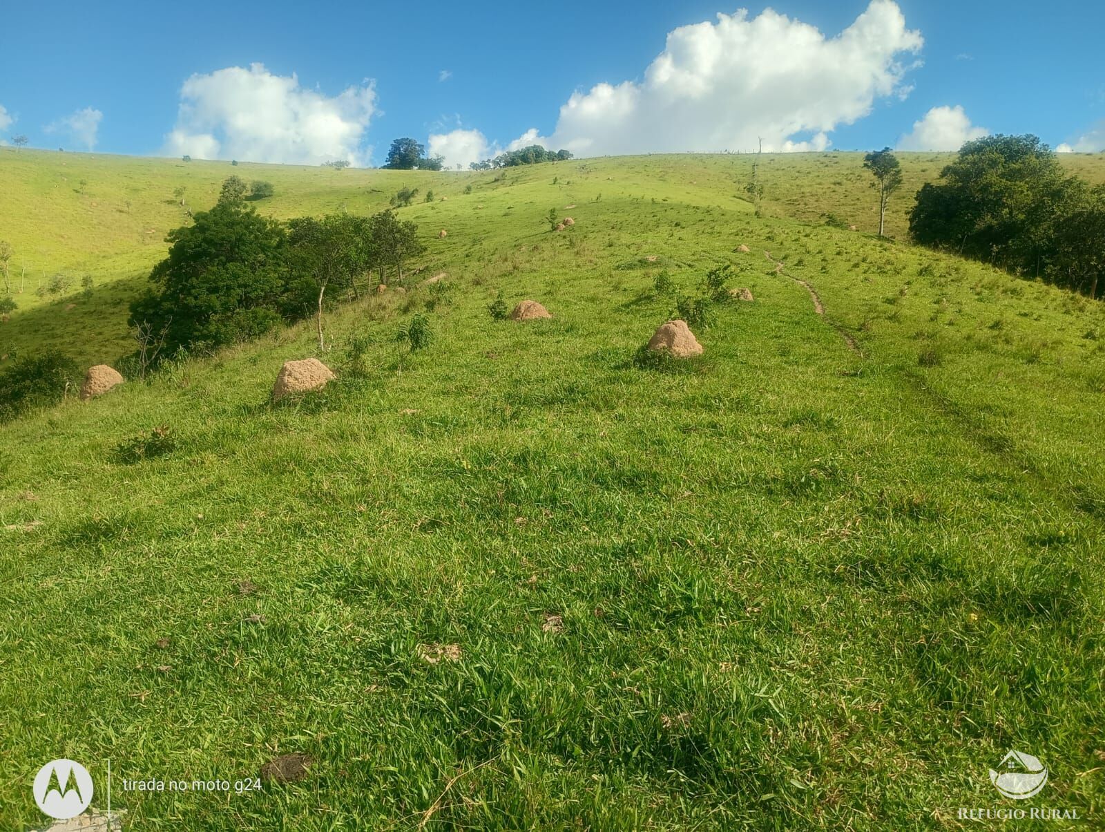 Chácara, 46 hectares - Foto 9