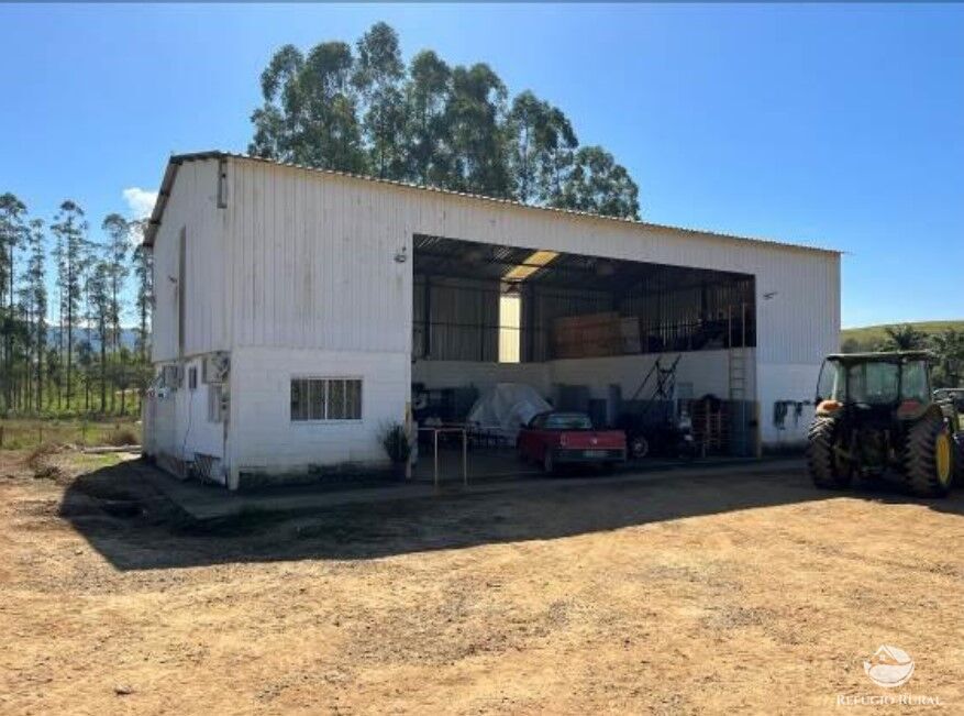 Fazenda à venda com 3 quartos, 2565200m² - Foto 7