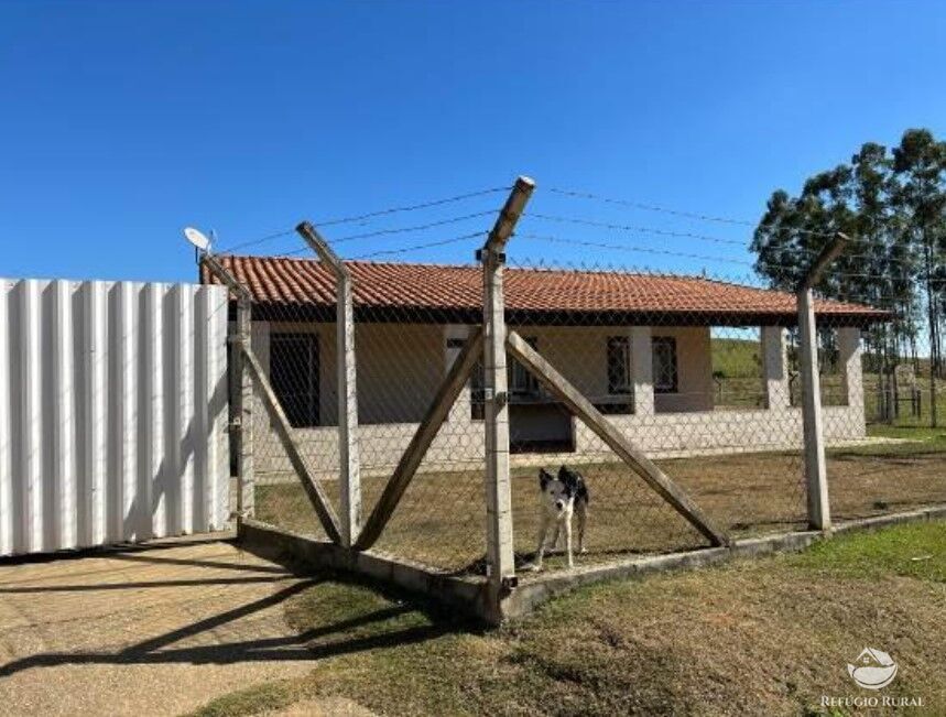 Fazenda à venda com 3 quartos, 2565200m² - Foto 13