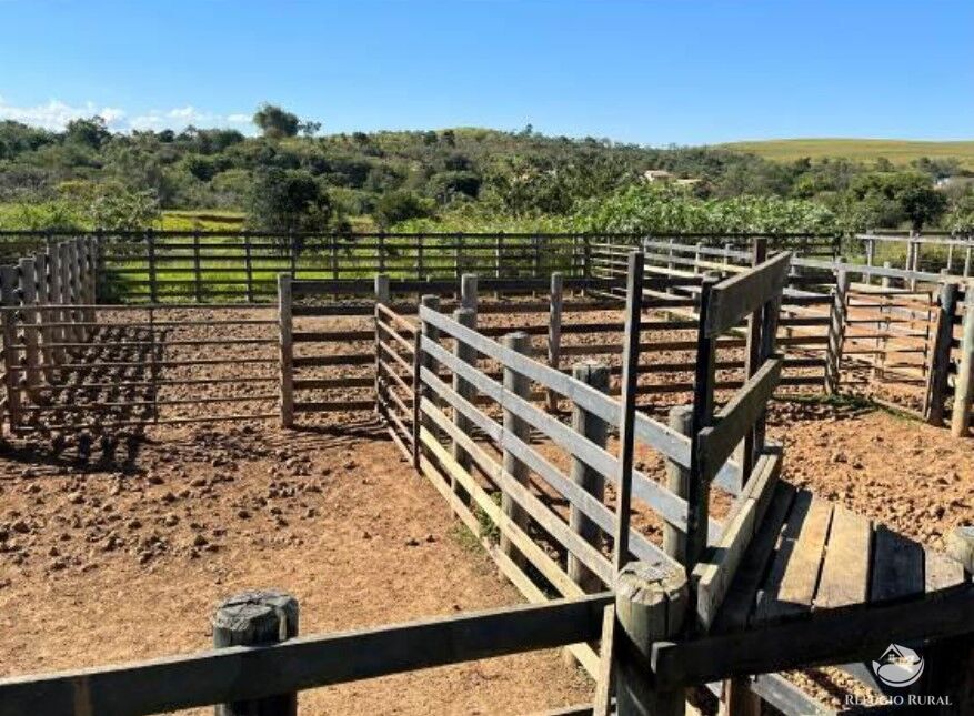 Fazenda à venda com 3 quartos, 2565200m² - Foto 14