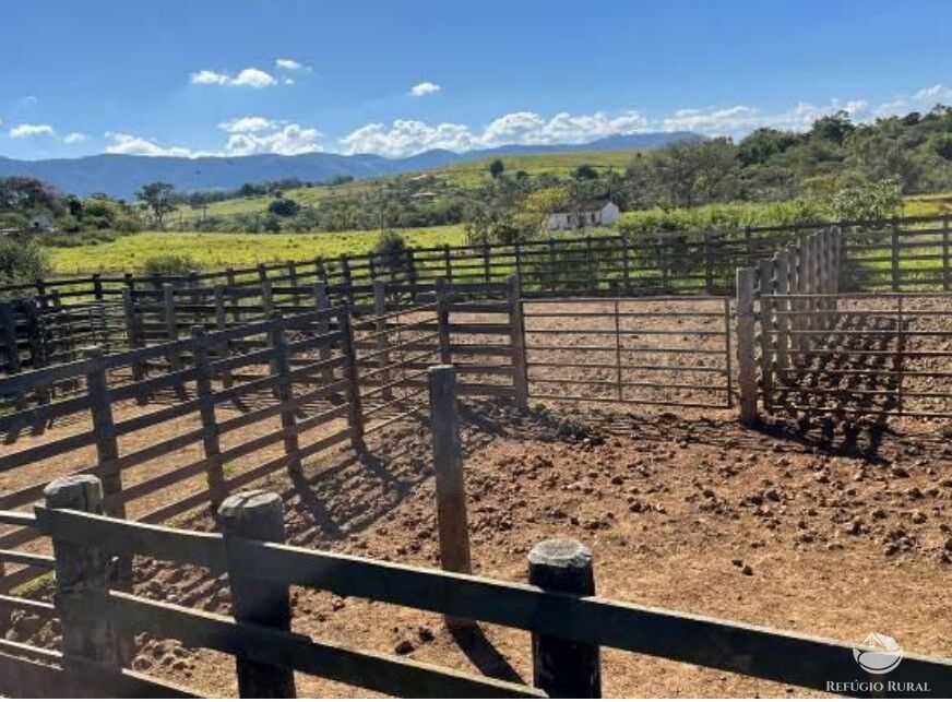 Fazenda à venda com 3 quartos, 2565200m² - Foto 15