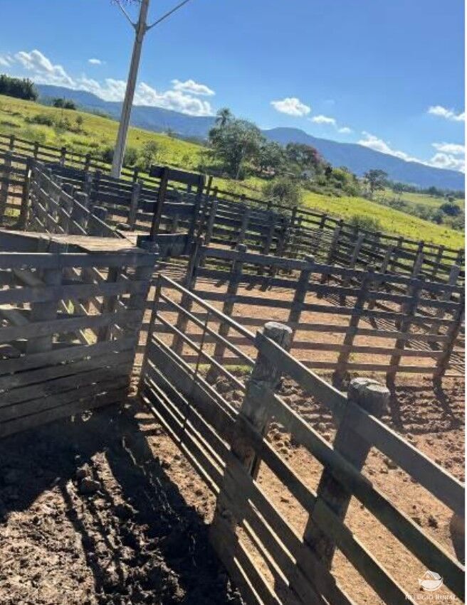 Fazenda à venda com 3 quartos, 2565200m² - Foto 3