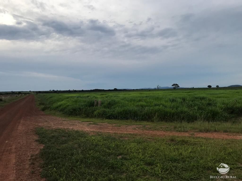 Fazenda à venda com 8 quartos, 208000000m² - Foto 14