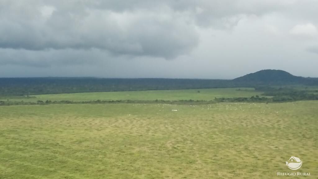 Fazenda à venda com 8 quartos, 208000000m² - Foto 15