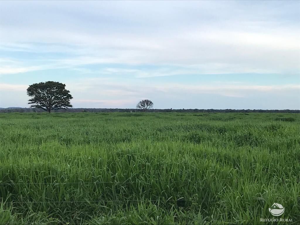 Fazenda à venda com 8 quartos, 208000000m² - Foto 28