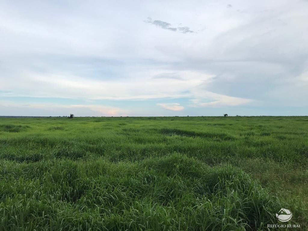 Fazenda à venda com 8 quartos, 208000000m² - Foto 23