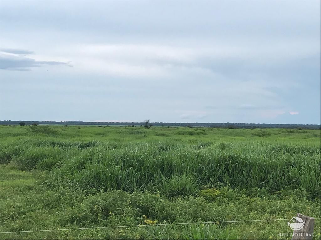 Fazenda à venda com 8 quartos, 208000000m² - Foto 24