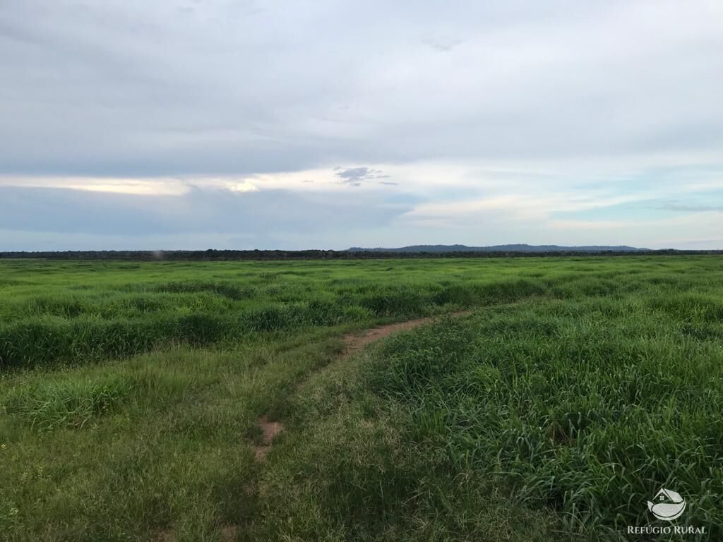 Fazenda à venda com 8 quartos, 208000000m² - Foto 33