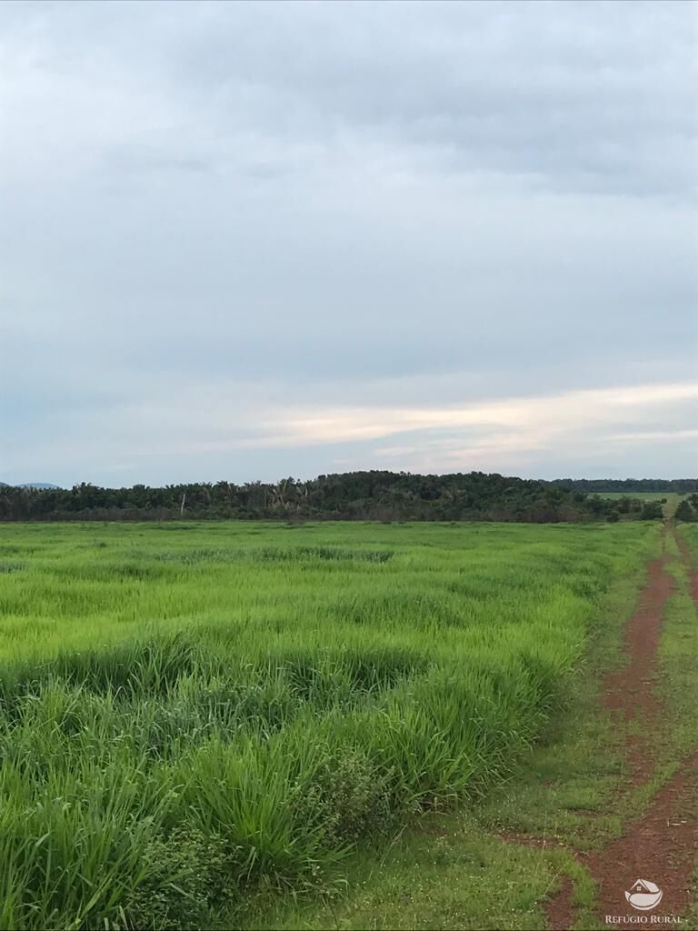 Fazenda à venda com 8 quartos, 208000000m² - Foto 19