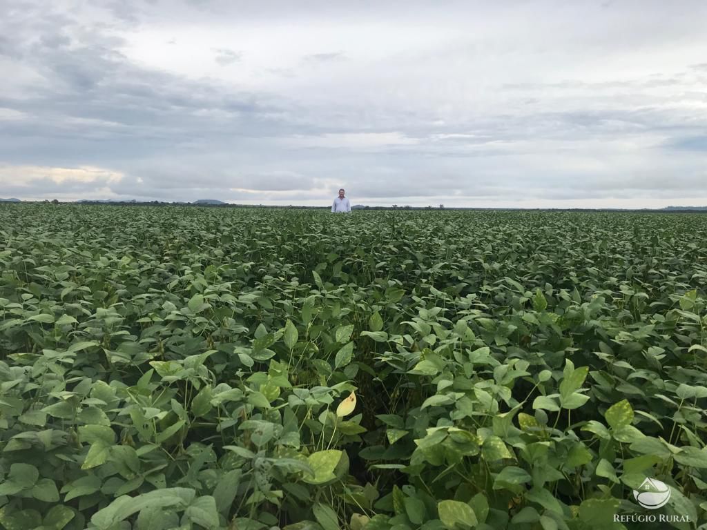 Fazenda à venda com 8 quartos, 208000000m² - Foto 4