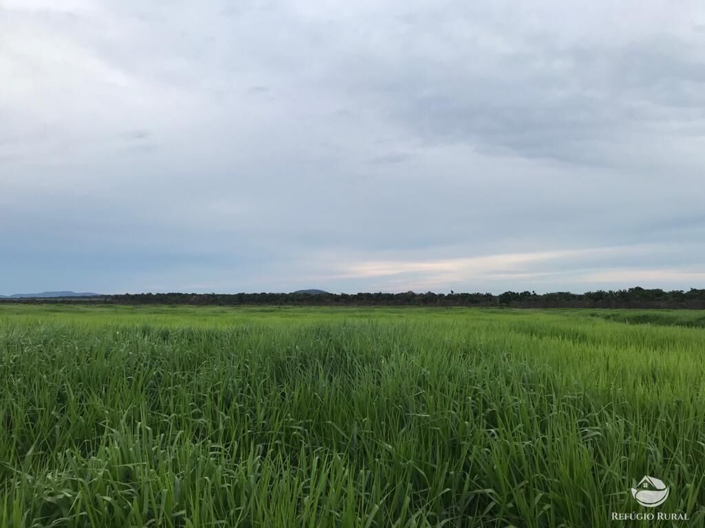 Fazenda à venda com 8 quartos, 208000000m² - Foto 29