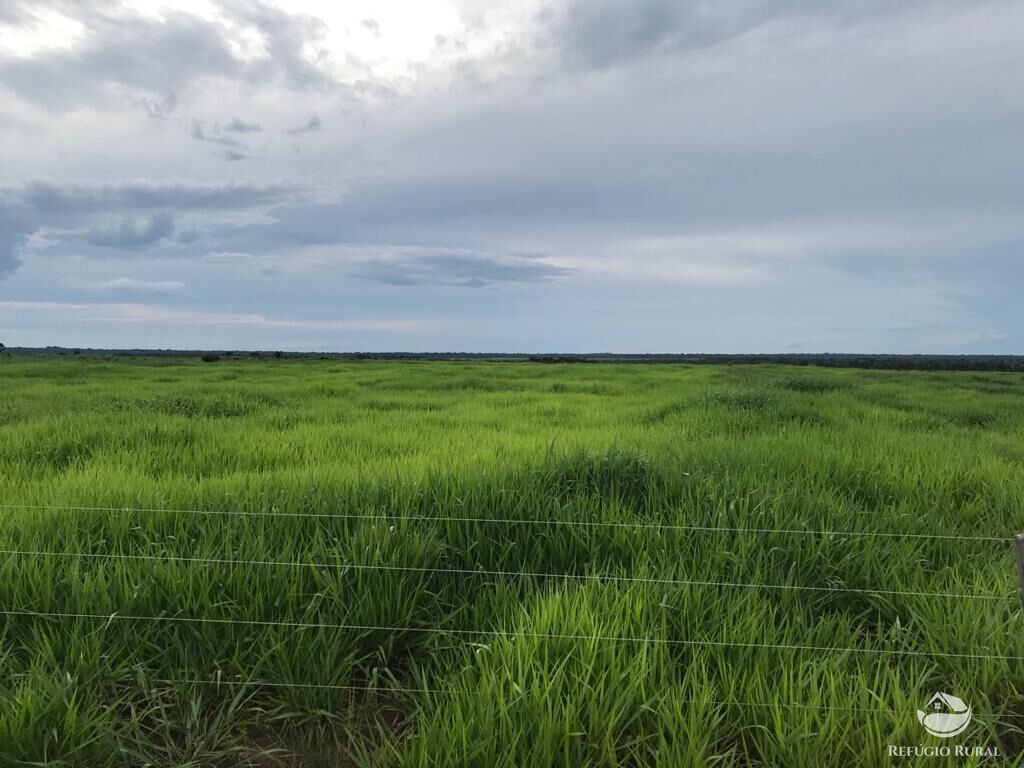 Fazenda à venda com 8 quartos, 208000000m² - Foto 13