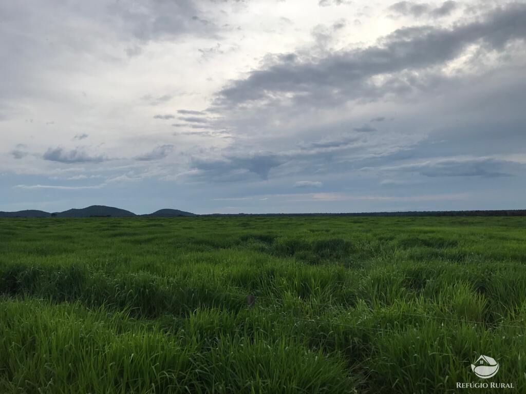 Fazenda à venda com 8 quartos, 208000000m² - Foto 30