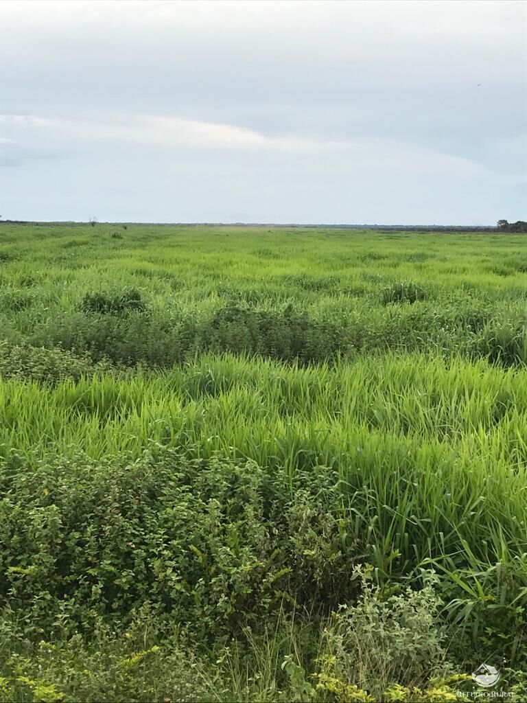 Fazenda à venda com 8 quartos, 208000000m² - Foto 25