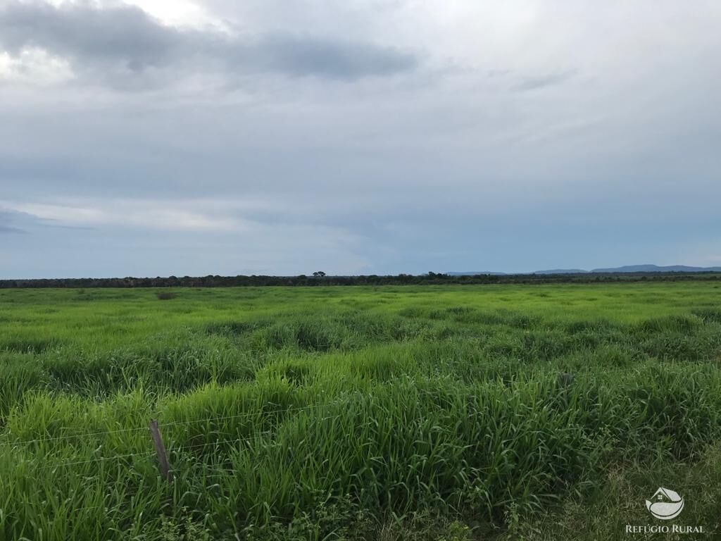 Fazenda à venda com 8 quartos, 208000000m² - Foto 26