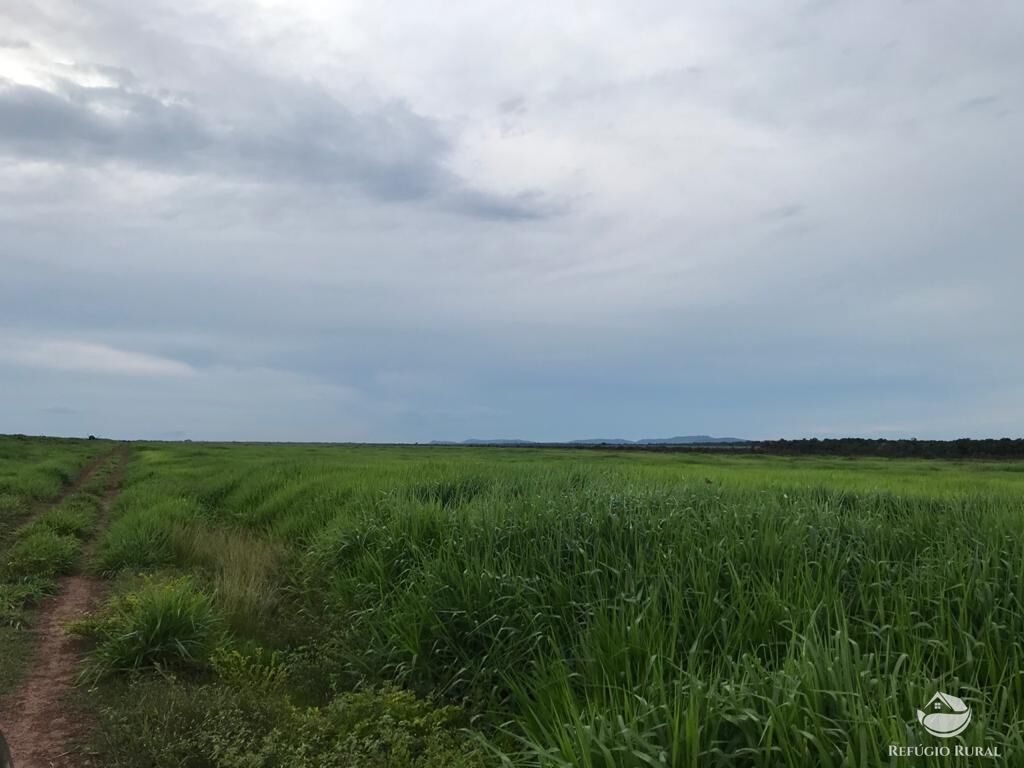 Fazenda à venda com 8 quartos, 208000000m² - Foto 16