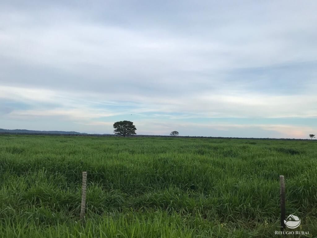 Fazenda à venda com 8 quartos, 208000000m² - Foto 18