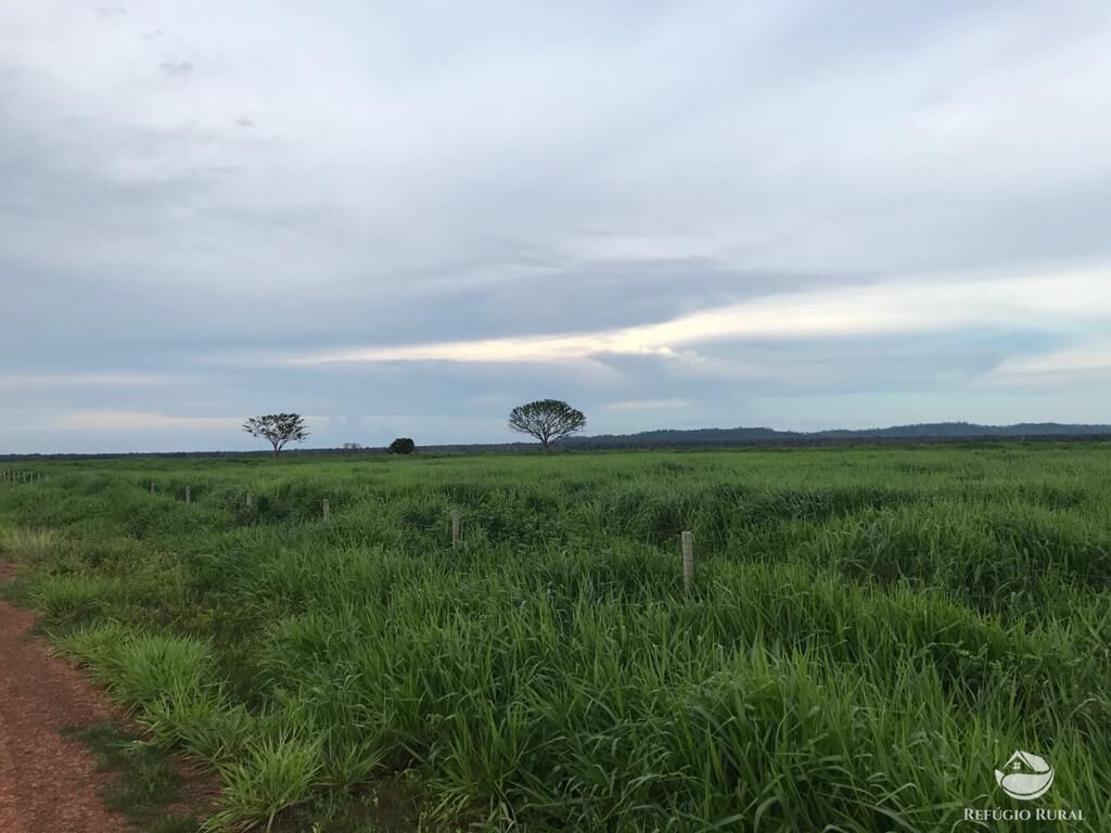 Fazenda à venda com 8 quartos, 208000000m² - Foto 27