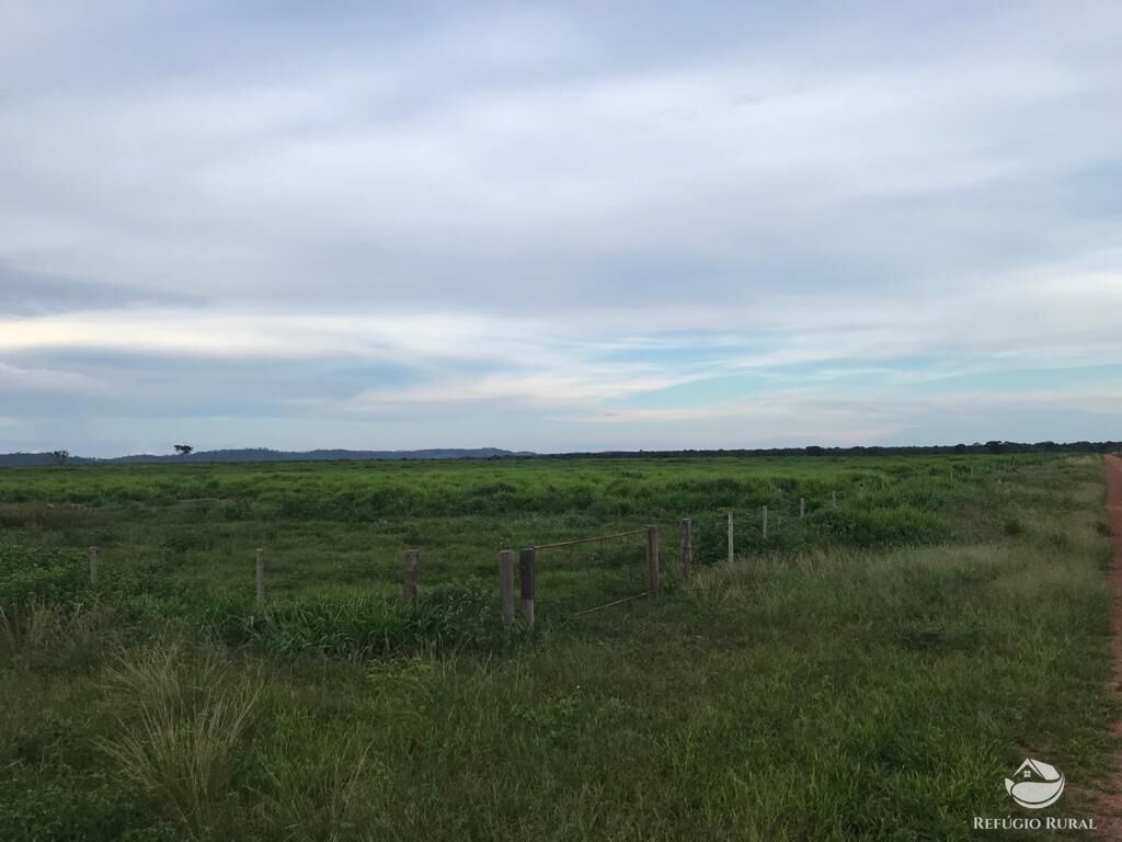 Fazenda à venda com 8 quartos, 208000000m² - Foto 32