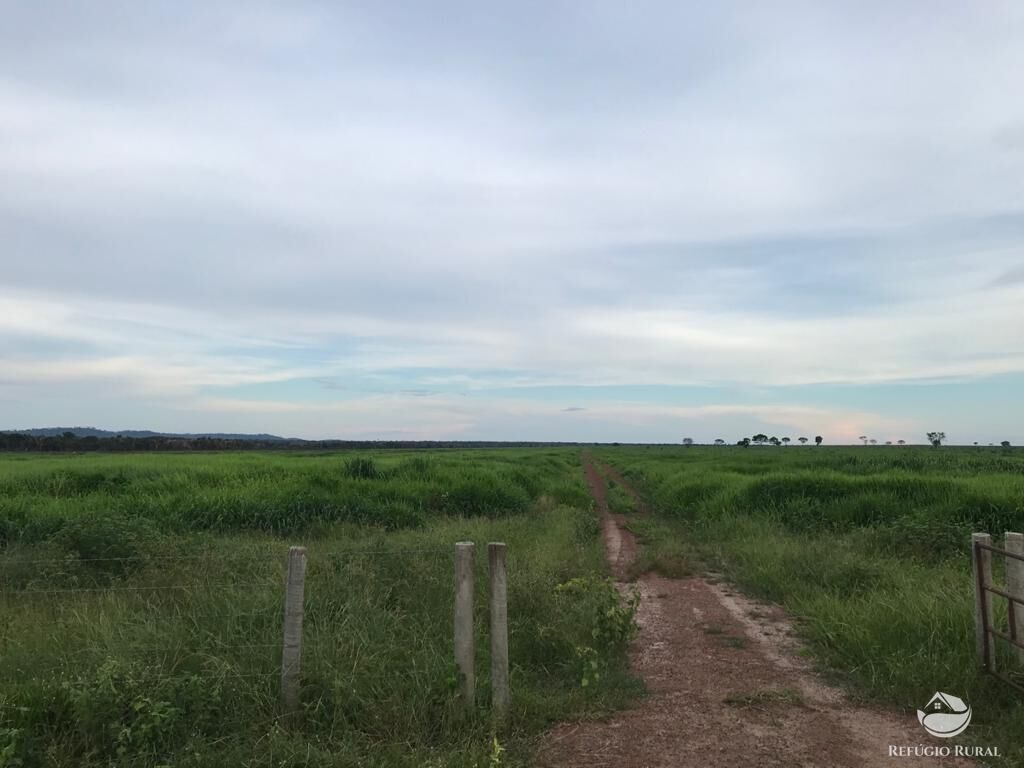 Fazenda à venda com 8 quartos, 208000000m² - Foto 21