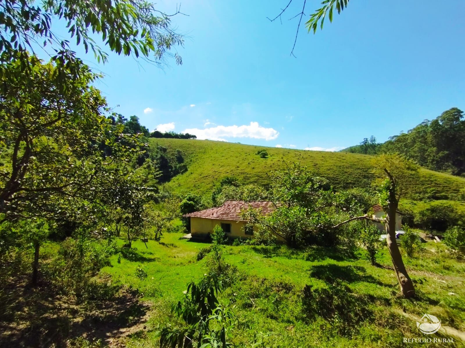 Fazenda à venda com 1 quarto, 104000m² - Foto 6