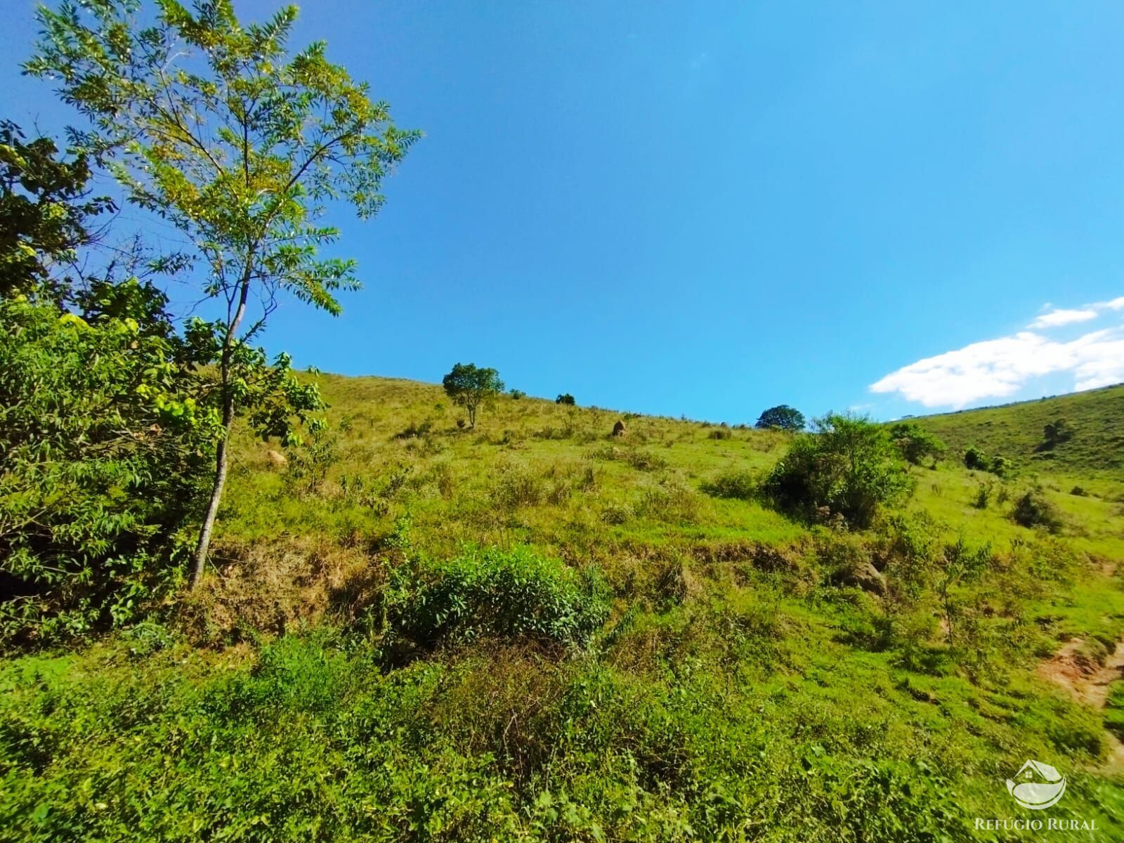 Fazenda à venda com 1 quarto, 104000m² - Foto 7