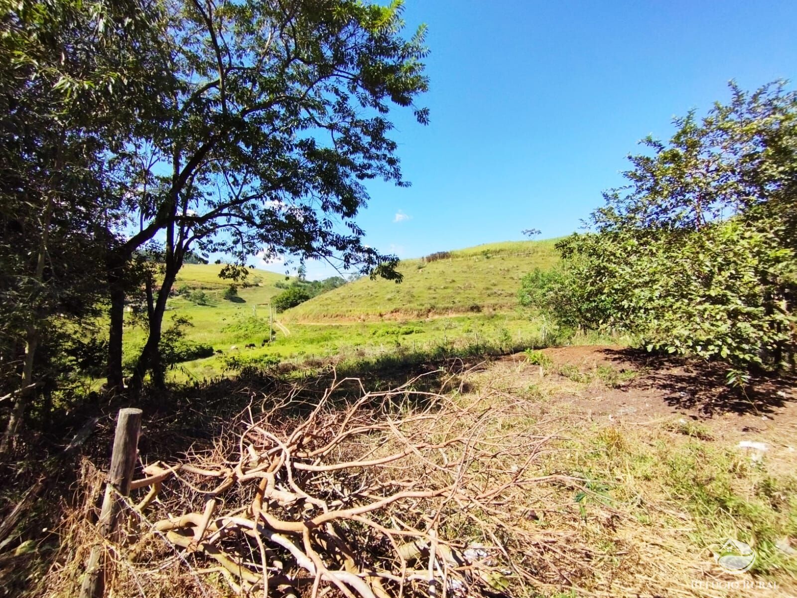 Fazenda à venda com 1 quarto, 104000m² - Foto 4