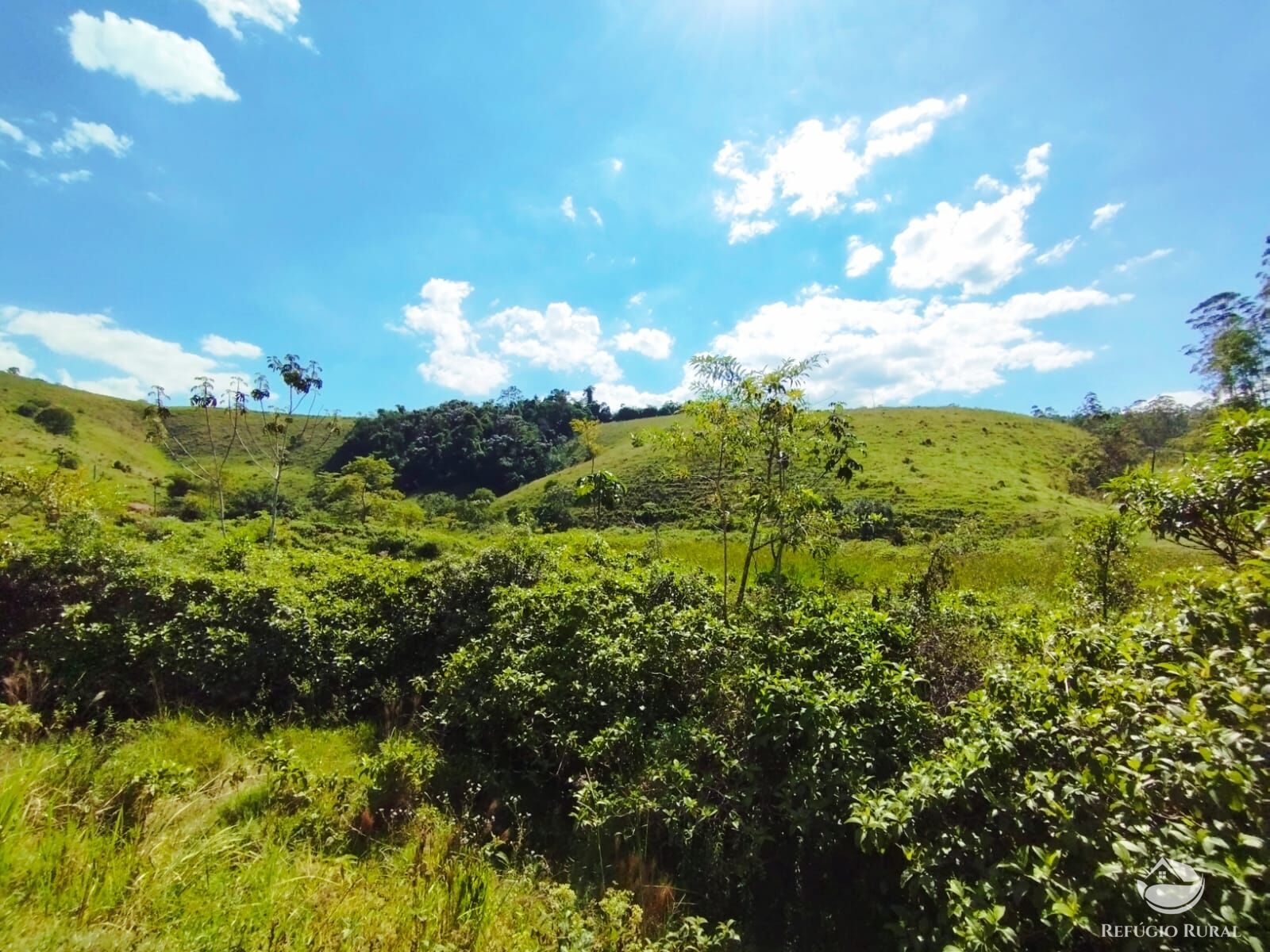 Fazenda à venda com 1 quarto, 104000m² - Foto 11