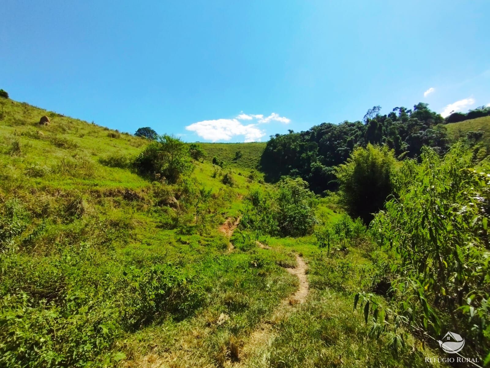 Fazenda à venda com 1 quarto, 104000m² - Foto 8