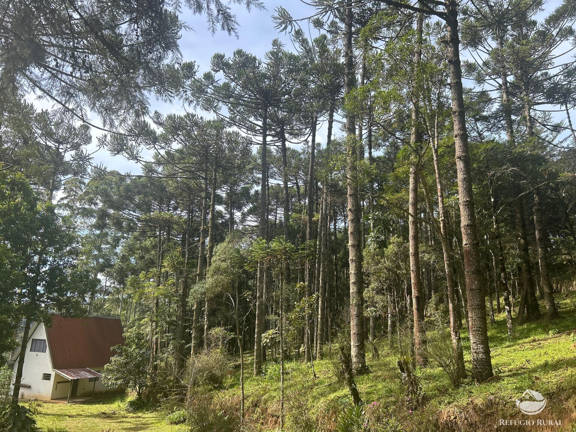 Casa à venda com 2 quartos, 160m² - Foto 34