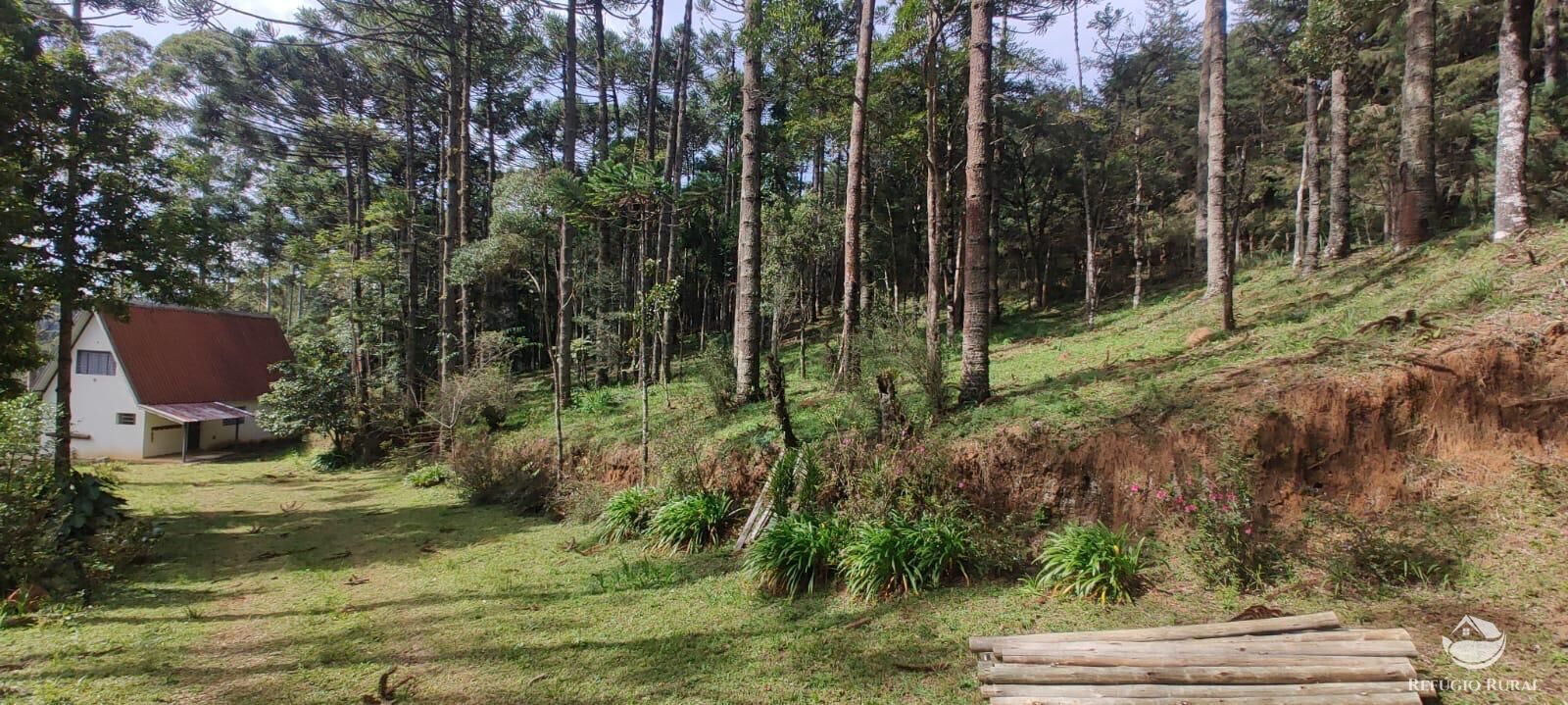Casa à venda com 2 quartos, 160m² - Foto 9