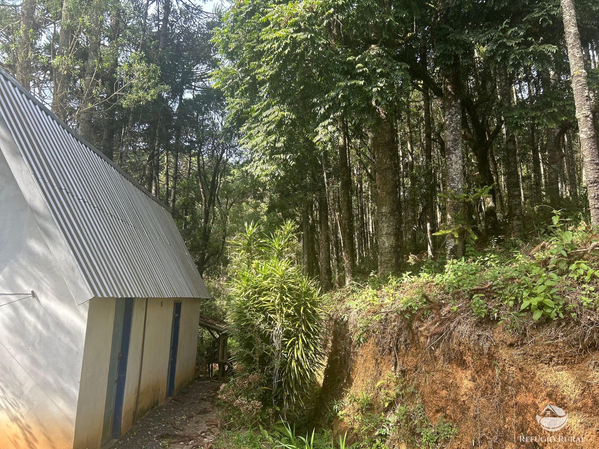 Casa à venda com 2 quartos, 160m² - Foto 30