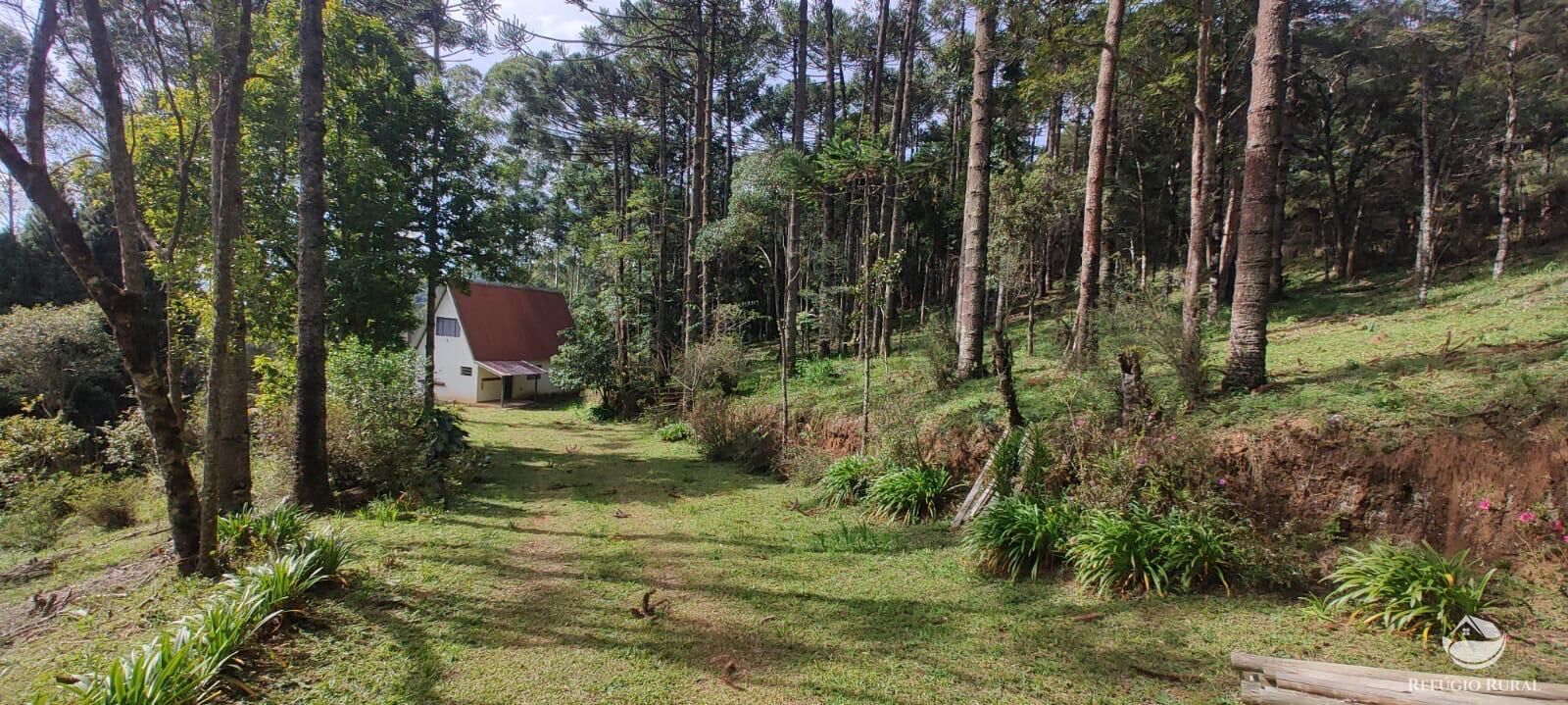 Casa à venda com 2 quartos, 160m² - Foto 2