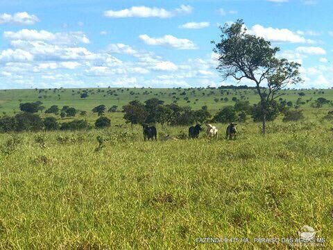 Fazenda à venda com 17 quartos, 94750000m² - Foto 3