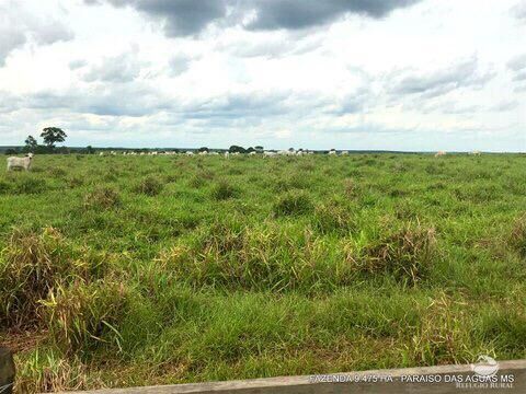 Fazenda à venda com 17 quartos, 94750000m² - Foto 18