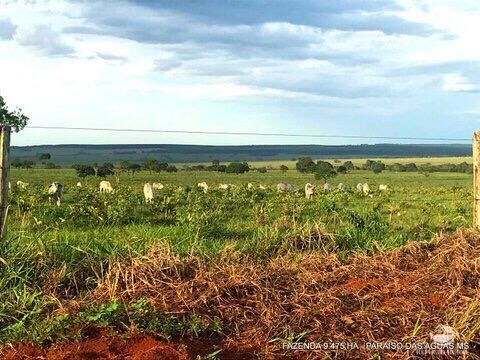 Fazenda à venda com 17 quartos, 94750000m² - Foto 17