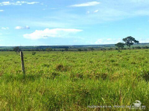 Fazenda à venda com 17 quartos, 94750000m² - Foto 23