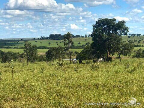 Fazenda à venda com 17 quartos, 94750000m² - Foto 4