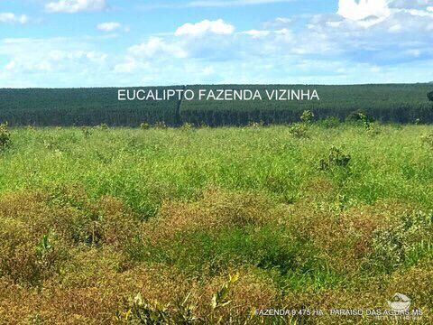 Fazenda à venda com 17 quartos, 94750000m² - Foto 11