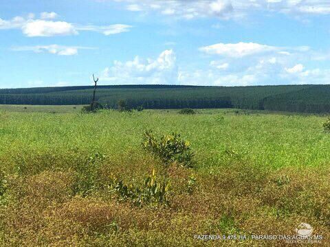 Fazenda à venda com 17 quartos, 94750000m² - Foto 13