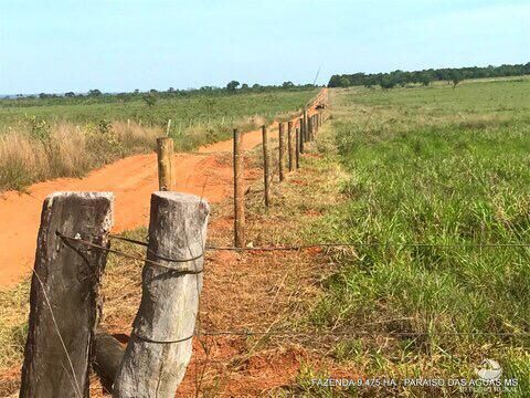 Fazenda à venda com 17 quartos, 94750000m² - Foto 20