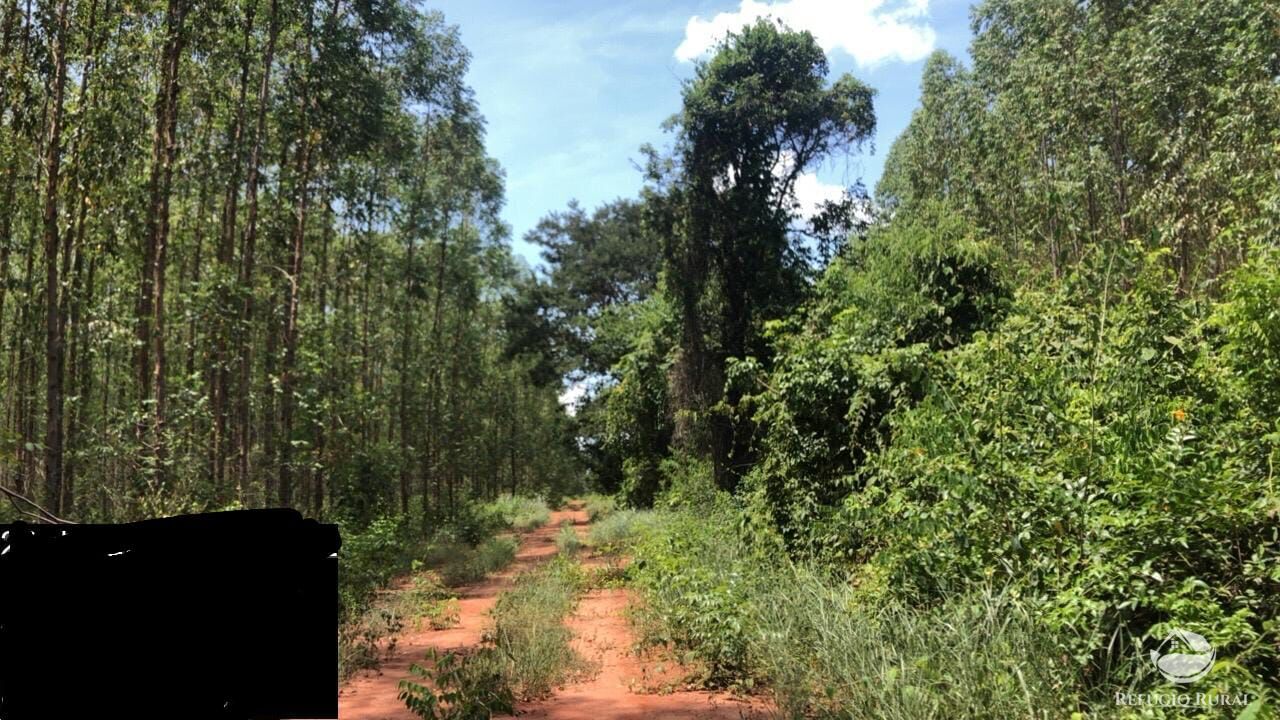Fazenda-Sítio-Chácara, 8712 hectares - Foto 5