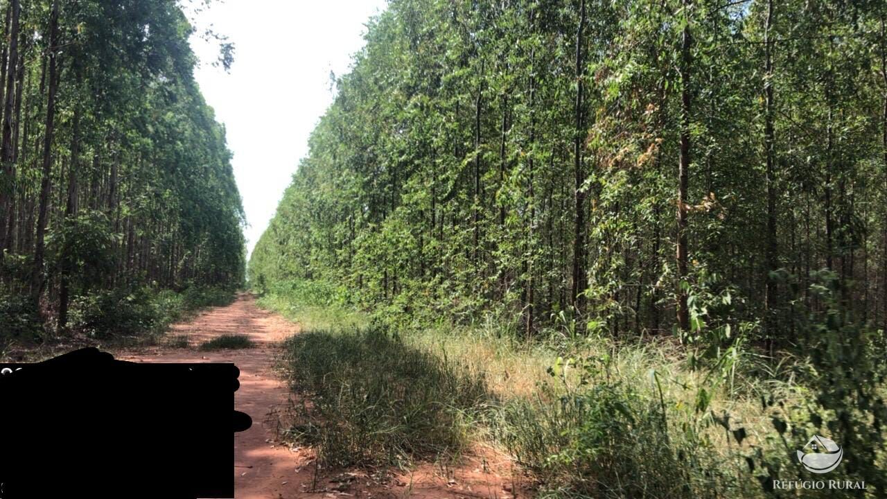 Fazenda-Sítio-Chácara, 8712 hectares - Foto 4